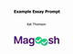 examples of essay prompt